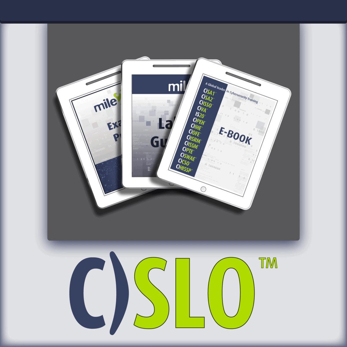 C)SLO Certified Security Leadership Officer e-course kit