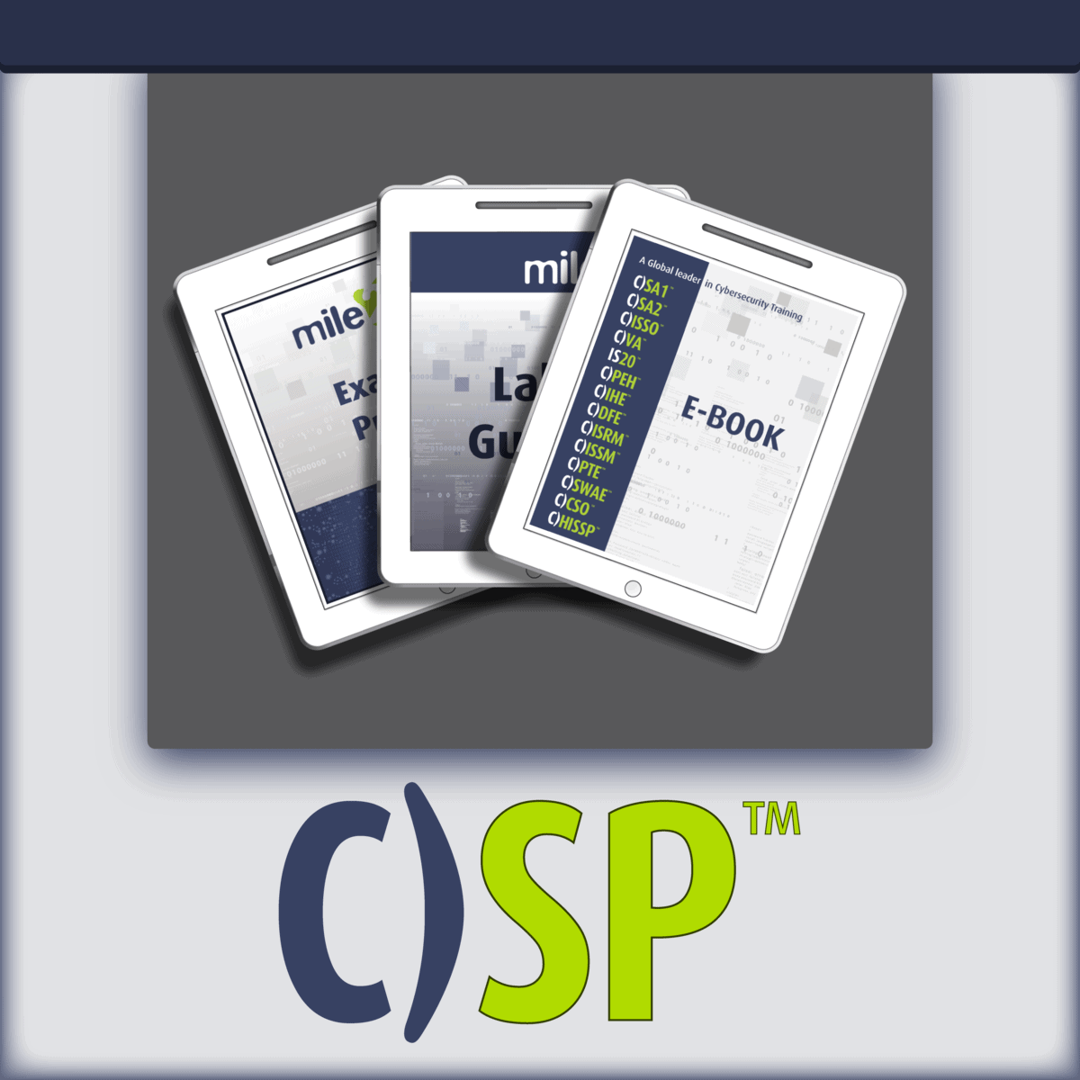 C)SP Certified Security Principles e-course kit