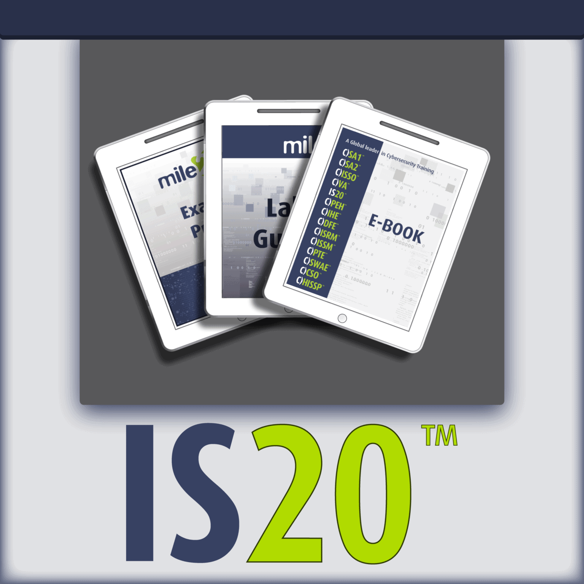 C)IS20 Information Security 20 Controls e-course kit